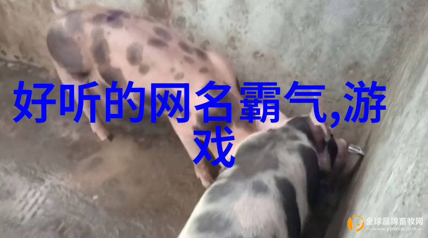相逢已过万重山姜时宜姜时宜免费小说全文免费阅读无弹窗大结局_姜时宜免费小说最新章节列表_笔趣阁