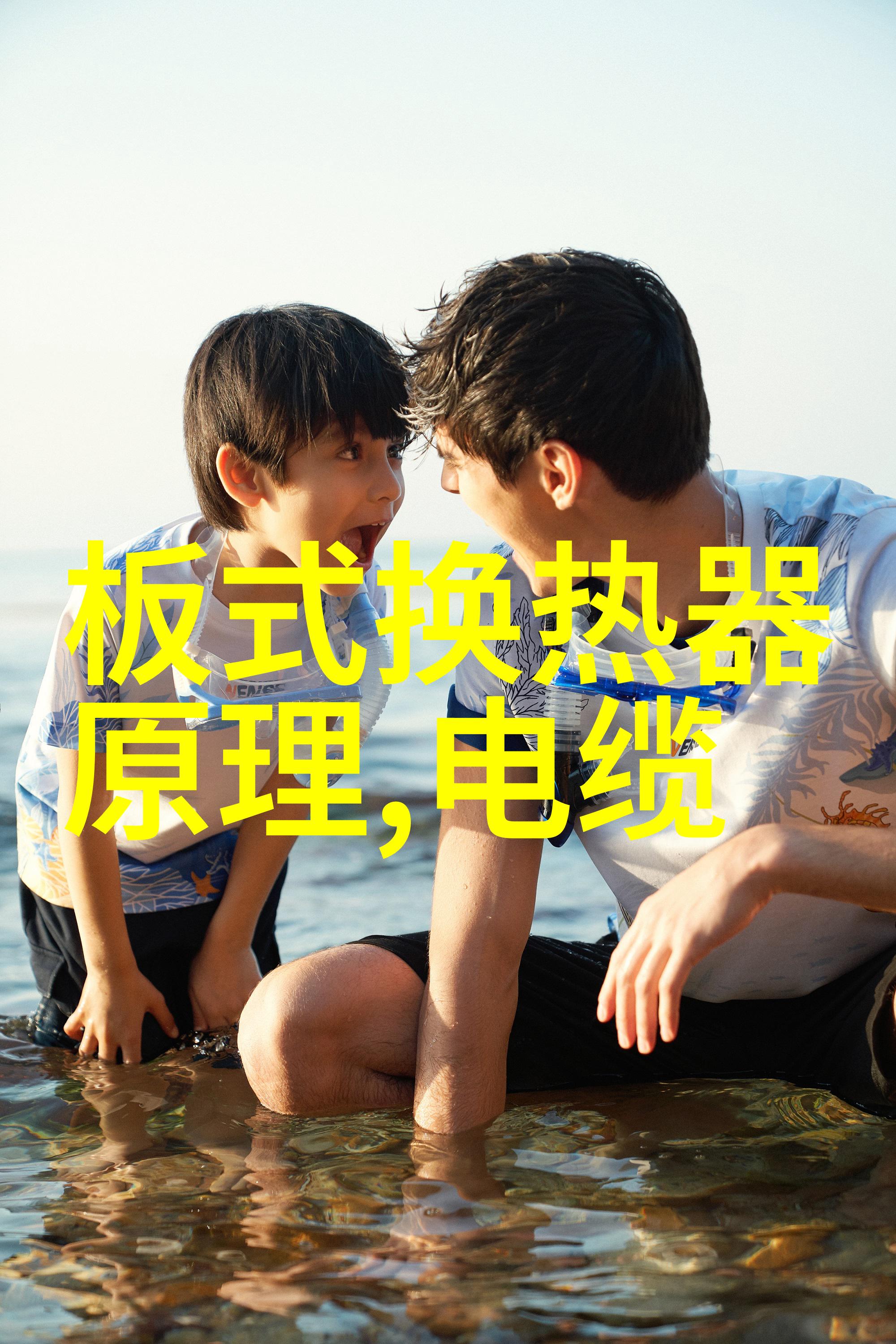 苏已司辰免费阅读无弹窗大结局苏已司辰最新章节