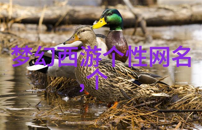 高级情侣cp昵称精选100个