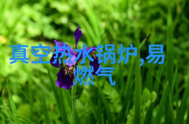 沈苑苑卫琛沈苑苑卫琛小说免费下载全本-沈苑苑卫琛沈苑苑卫琛完整版免费阅读大结局